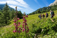 Hautes-Alpes Bertrand Bodin BD