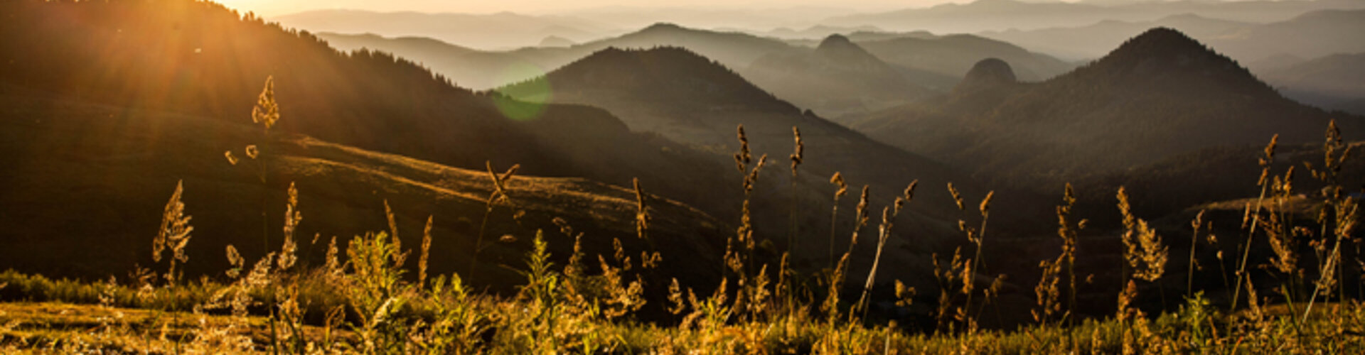 mezenc-paysages-p-nature
